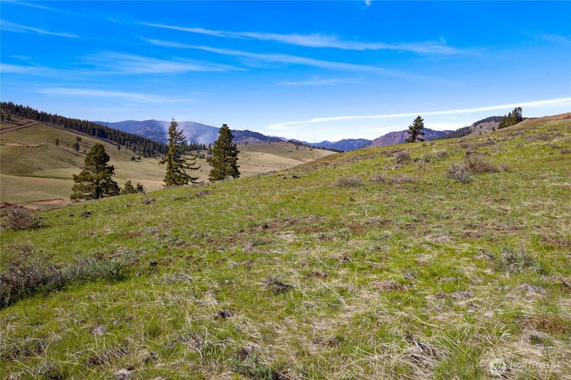 Property photo for 9 Lot Bettas Road, Cle Elum photo 11