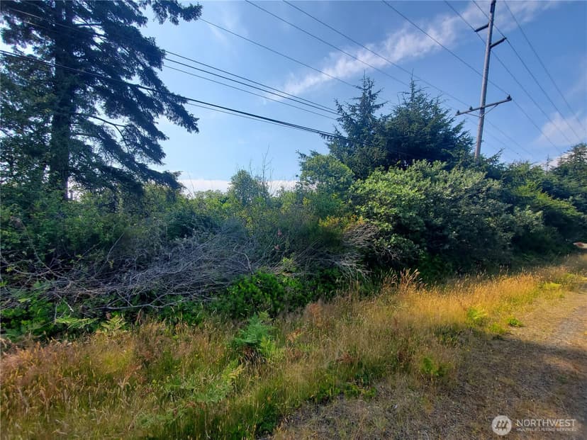 Property photo for 561 Dolphin Avenue NE, Ocean Shores photo 6