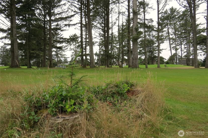 Property photo for 237 Dolphin Avenue NE, Ocean Shores photo 27
