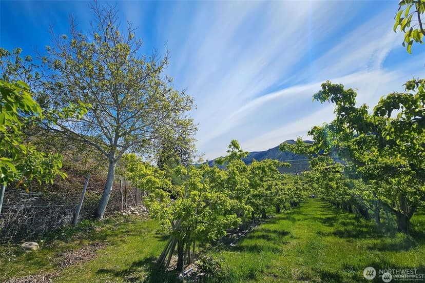 Property photo for 3710 Stayman Flats Road, Chelan photo 17