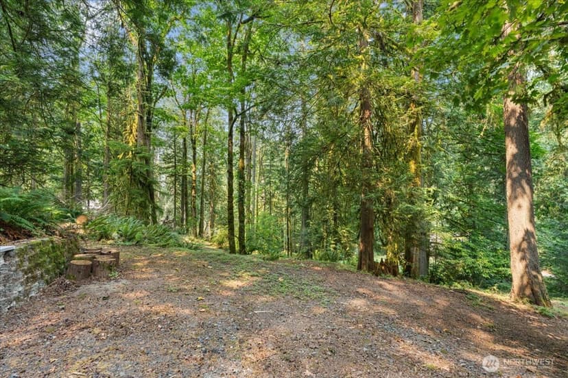 Property photo for 14629 255th Avenue SE, Issaquah photo 34