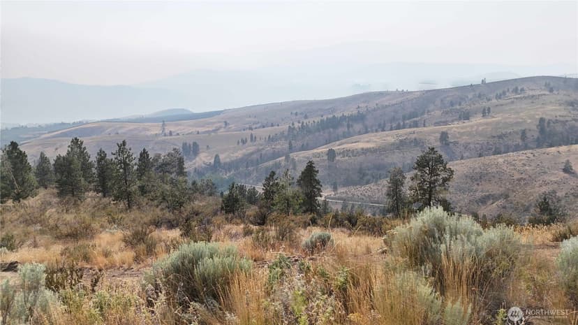 Property photo for 0 NNA Purtteman Gulch Rd., Chelan photo 7