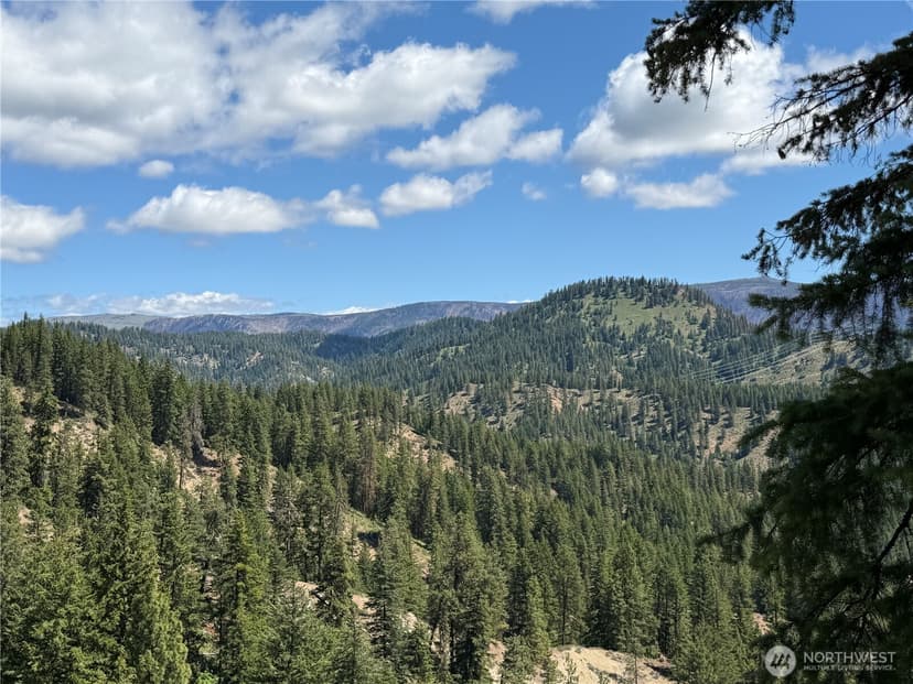 Property photo for 16100 Chumstick Highway, Leavenworth photo 7