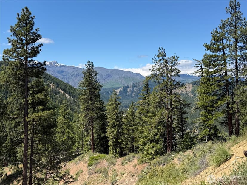 Property photo for 16100 Chumstick Highway, Leavenworth photo 24