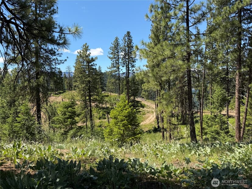 Property photo for 16100 Chumstick Highway, Leavenworth photo 16