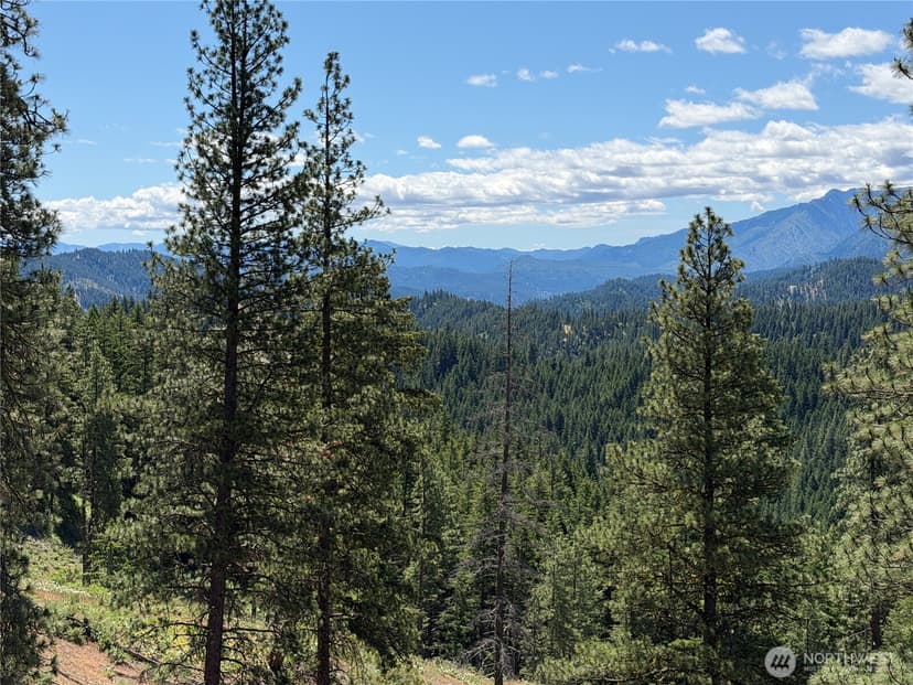 Property photo for 16100 Chumstick Highway, Leavenworth photo 25