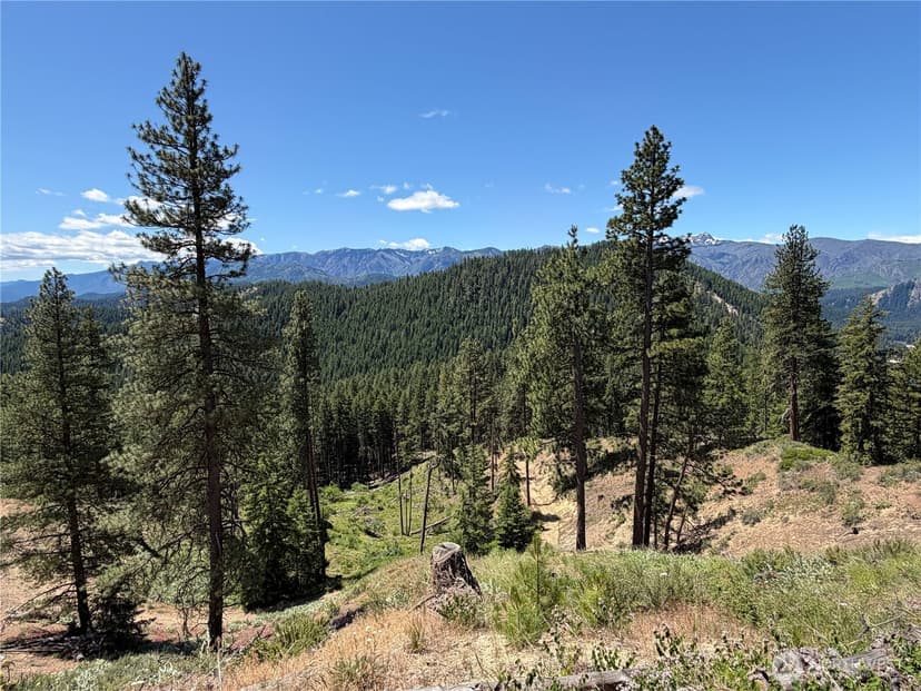 Property photo for 16100 Chumstick Highway, Leavenworth photo 23