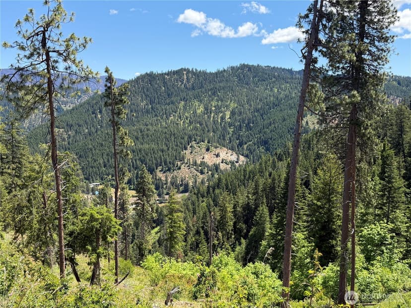 Property photo for 16100 Chumstick Highway, Leavenworth photo 21