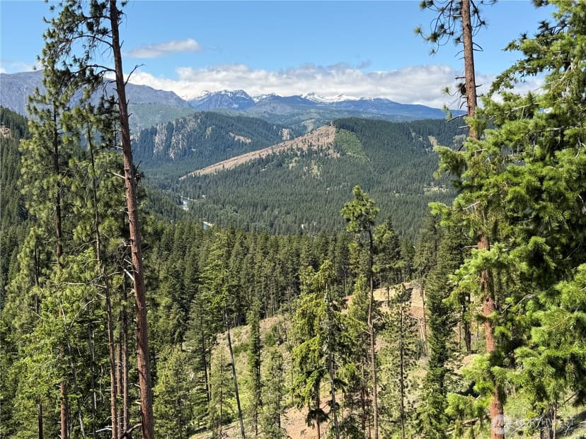 Property photo for 16100 Chumstick Highway, Leavenworth photo 28