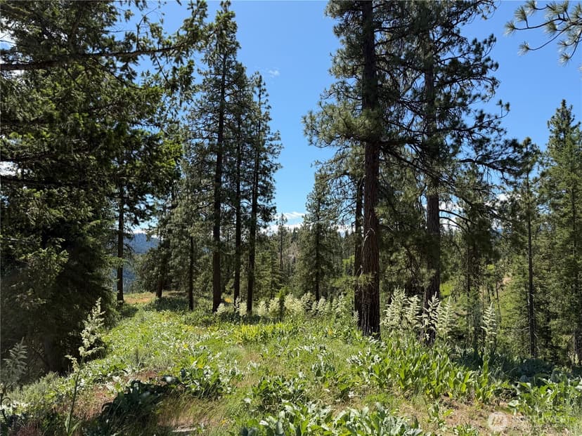 Property photo for 16100 Chumstick Highway, Leavenworth photo 15