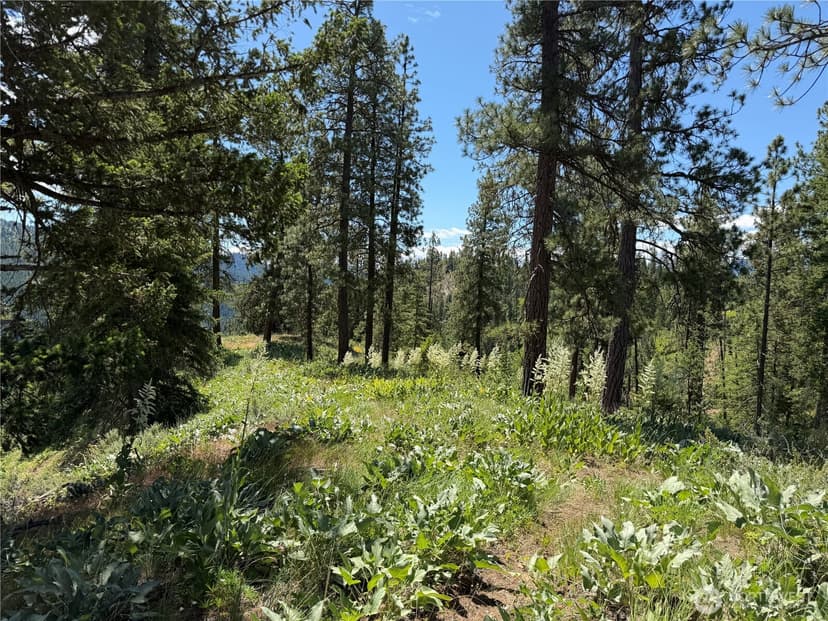 Property photo for 16100 Chumstick Highway, Leavenworth photo 14