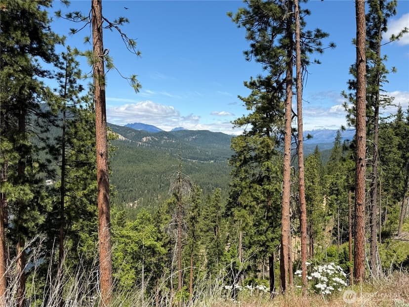 Property photo for 16100 Chumstick Highway, Leavenworth photo 19