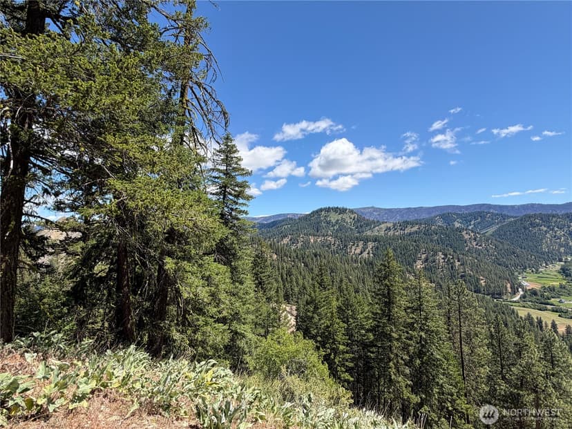 Property photo for 16100 Chumstick Highway, Leavenworth photo 5