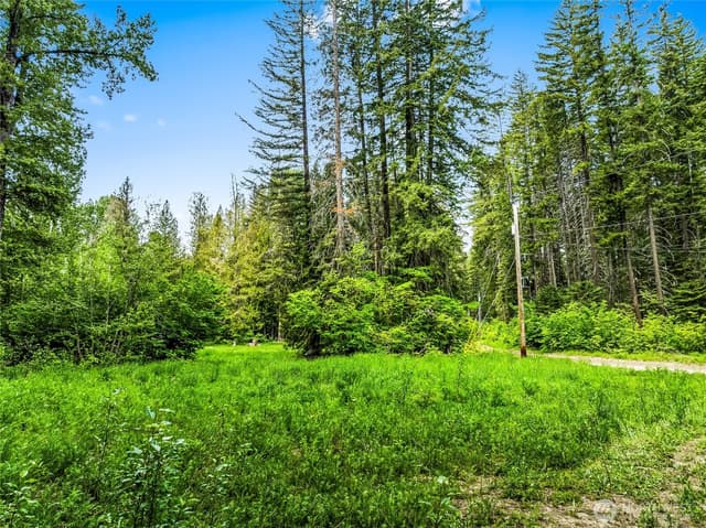 Property photo for 13861 13863 Brae Burn Road, Leavenworth photo 5
