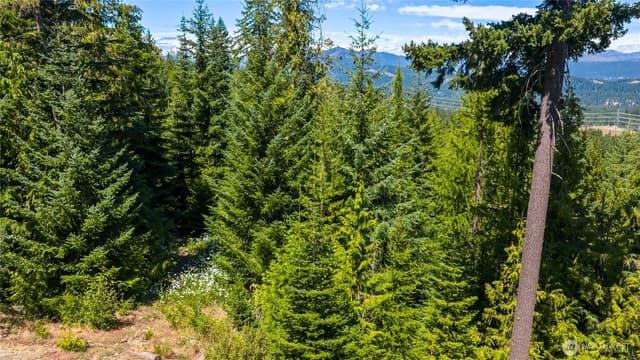 Property photo for 91 Basin Creek Way, Cle Elum photo 3