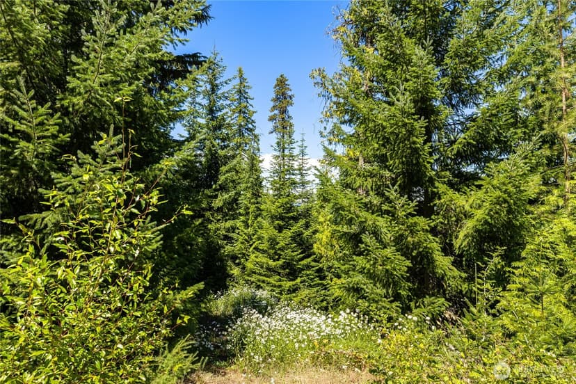 Property photo for 91 Basin Creek Way, Cle Elum photo 10