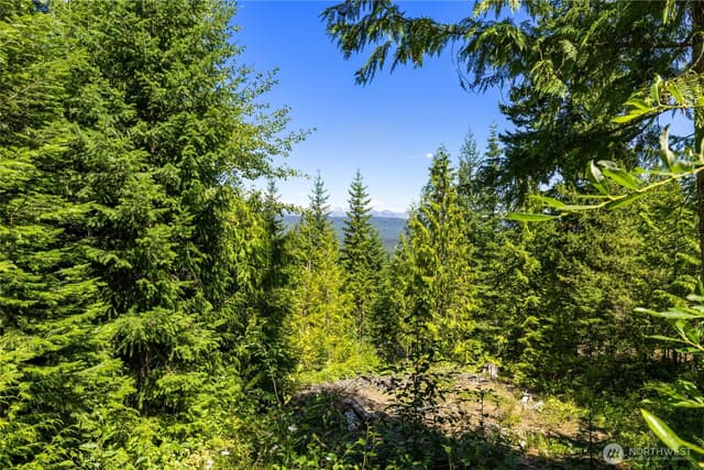 Property photo for 91 Basin Creek Way, Cle Elum photo 5