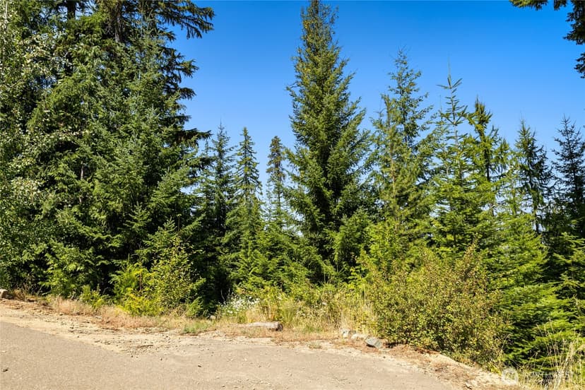Property photo for 91 Basin Creek Way, Cle Elum photo 8
