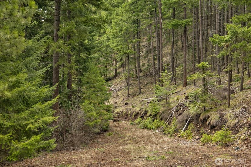 Property photo for 490 Thornton Creek, Cle Elum photo 26