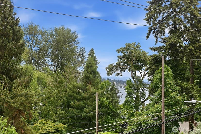 Property photo for 9007 Sand Point Way NE, Seattle photo 21