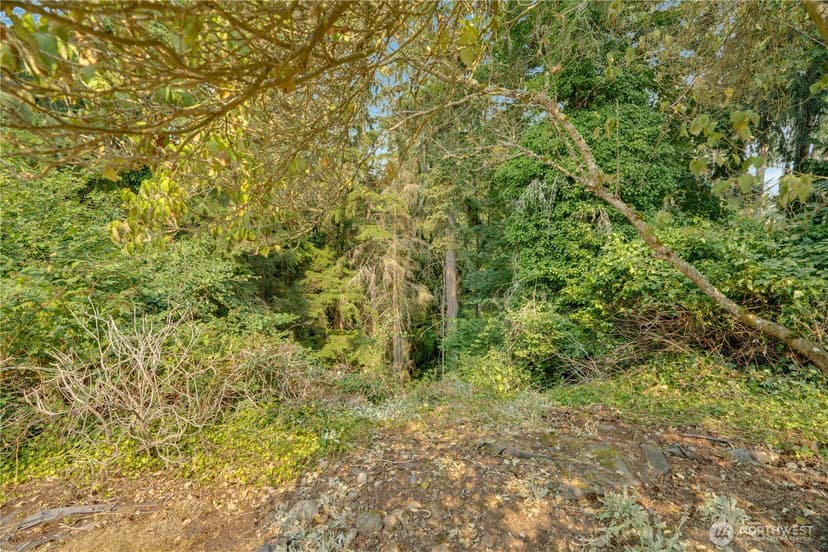 Property photo for 7009 Cameo Drive SW, Lakewood photo 30
