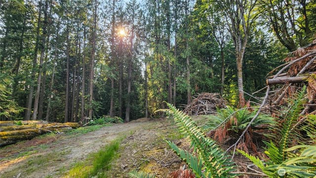 Property photo for 18813 126th Street SE, Snohomish photo 5