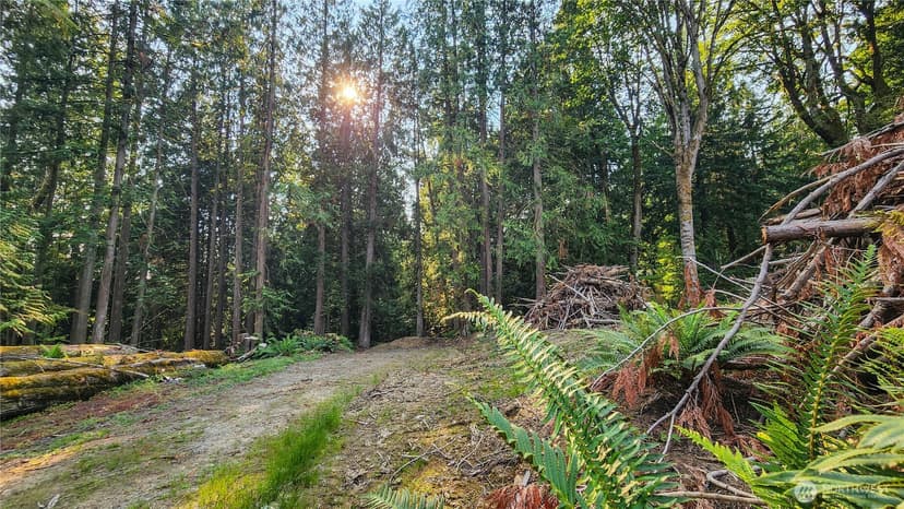 Property photo for 18813 126th Street SE, Snohomish photo 5