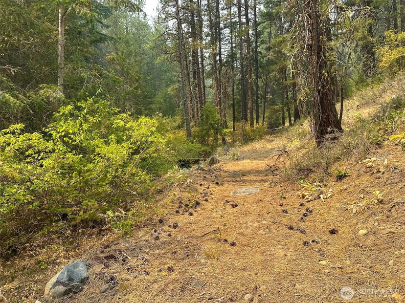 Property photo for 4 Red Bridge Road, Cle Elum photo 10