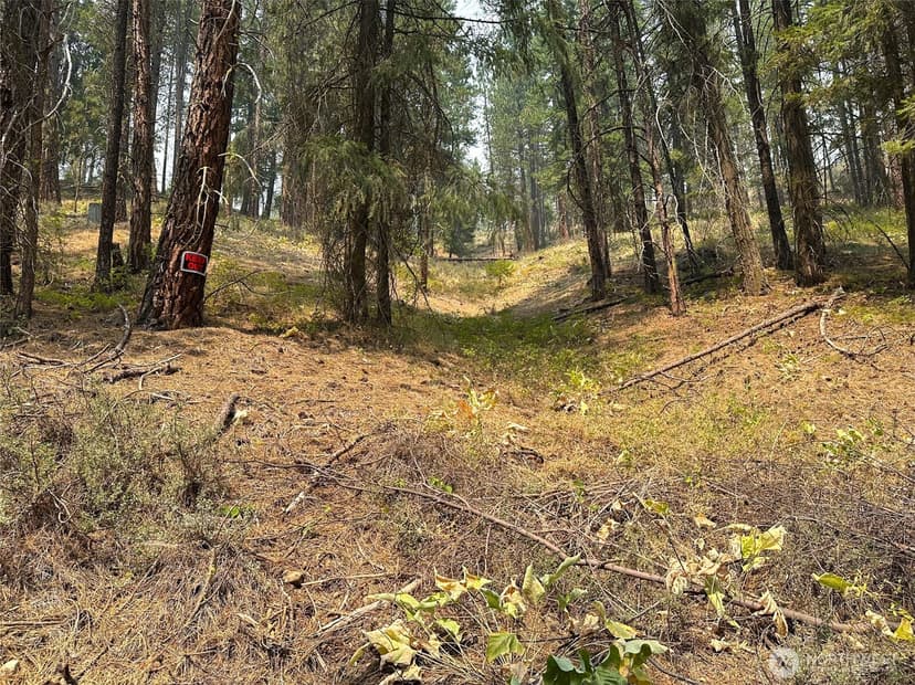 Property photo for 4 Red Bridge Road, Cle Elum photo 7