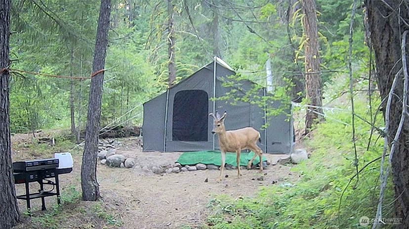 Property photo for 4 Red Bridge Road, Cle Elum
