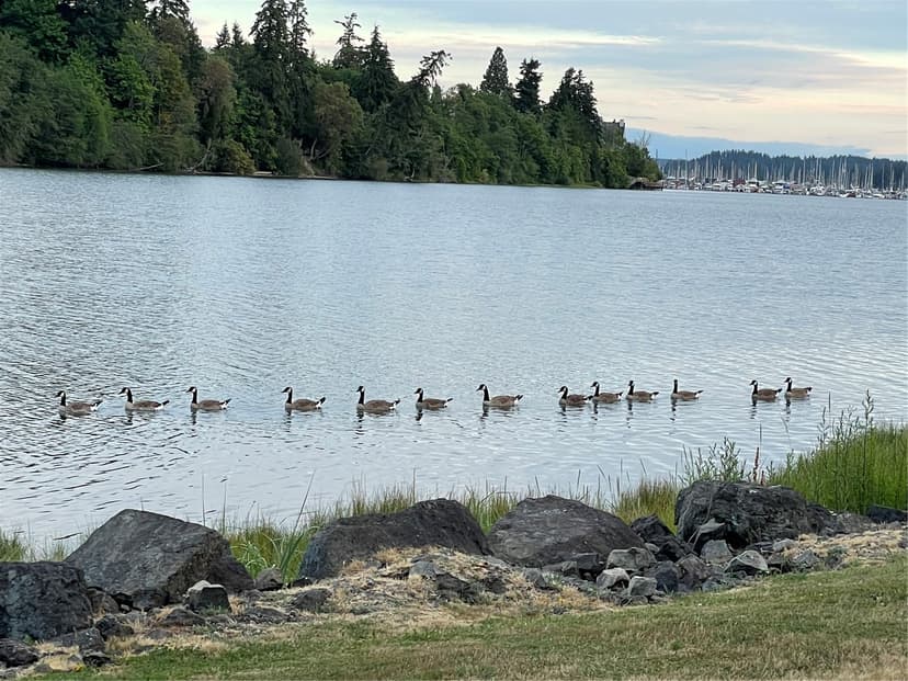 Property photo for 19764 3rd Avenue NW #45, Poulsbo photo 36