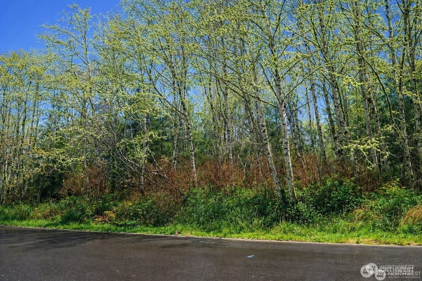Property photo for 821 Duck Lake Drive NE, Ocean Shores