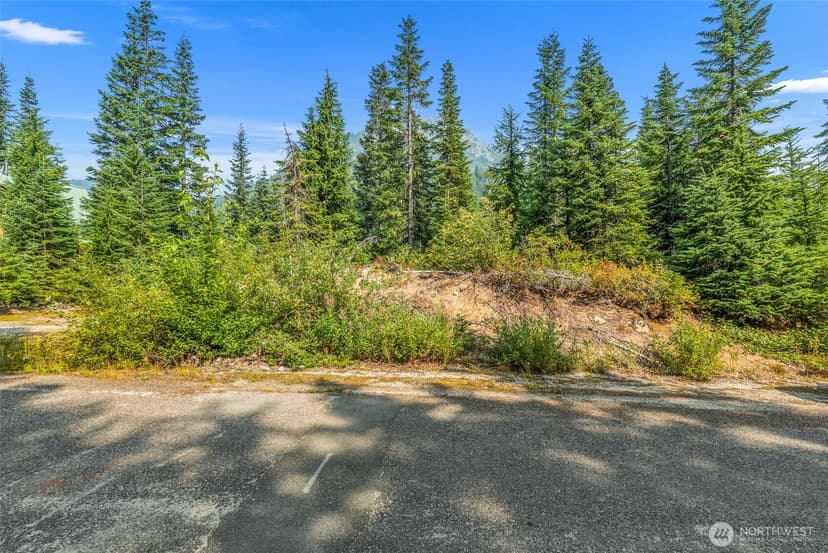 Property photo for 34374 S Nason Road, Leavenworth photo 12