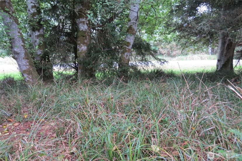 Property photo for 796 Mount Olympus Avenue SE, Ocean Shores photo 7