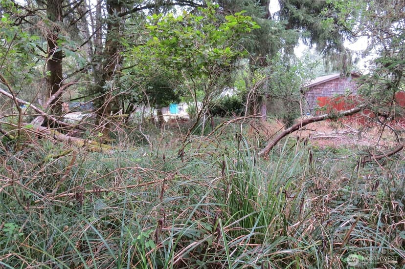 Property photo for 796 Mount Olympus Avenue SE, Ocean Shores photo 8