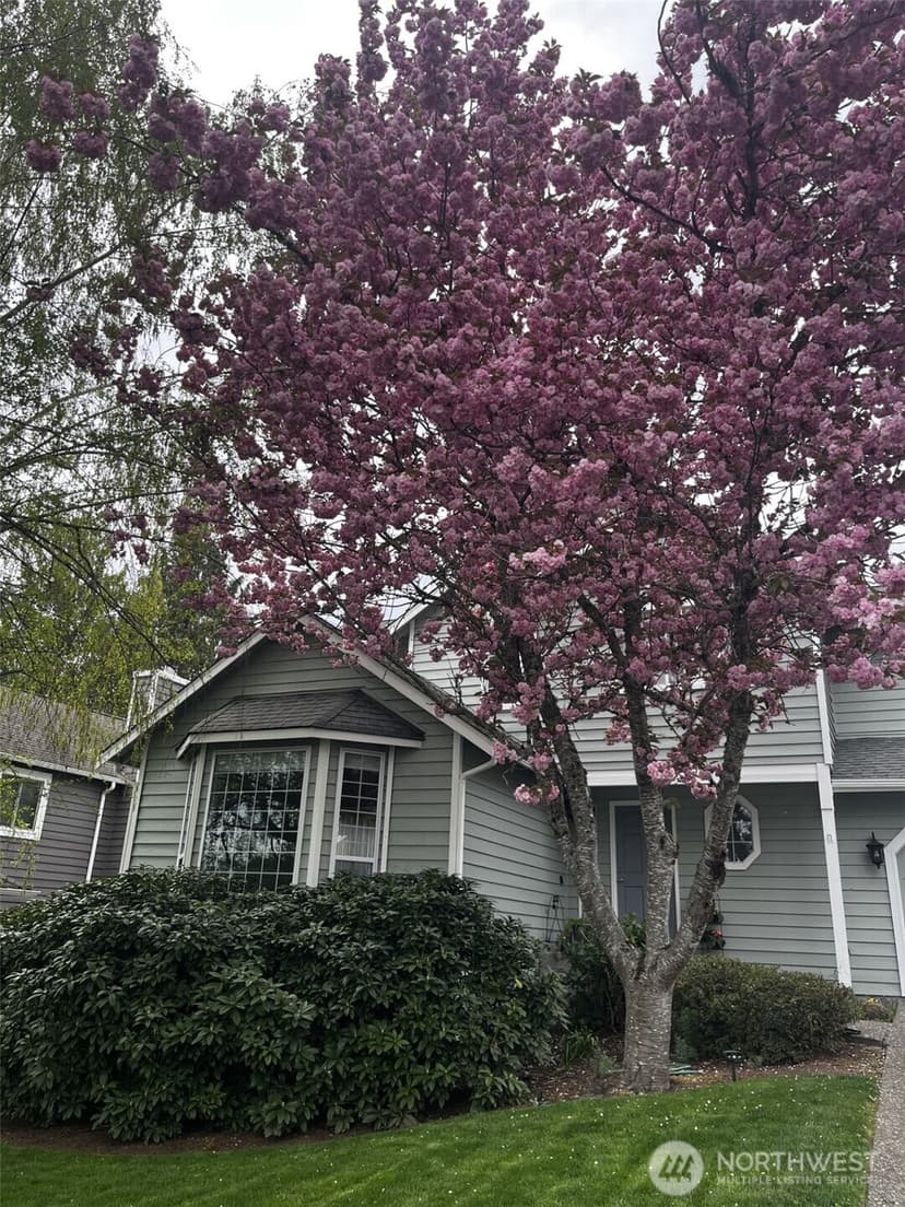 Property photo for 13438 SE 183rd Street, Renton photo 40