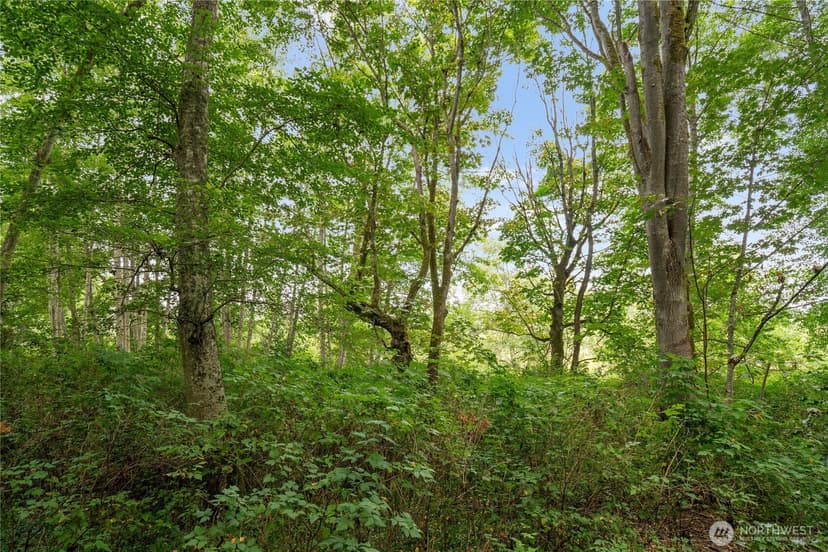 Property photo for 3327 Burley Road, Clinton photo 15