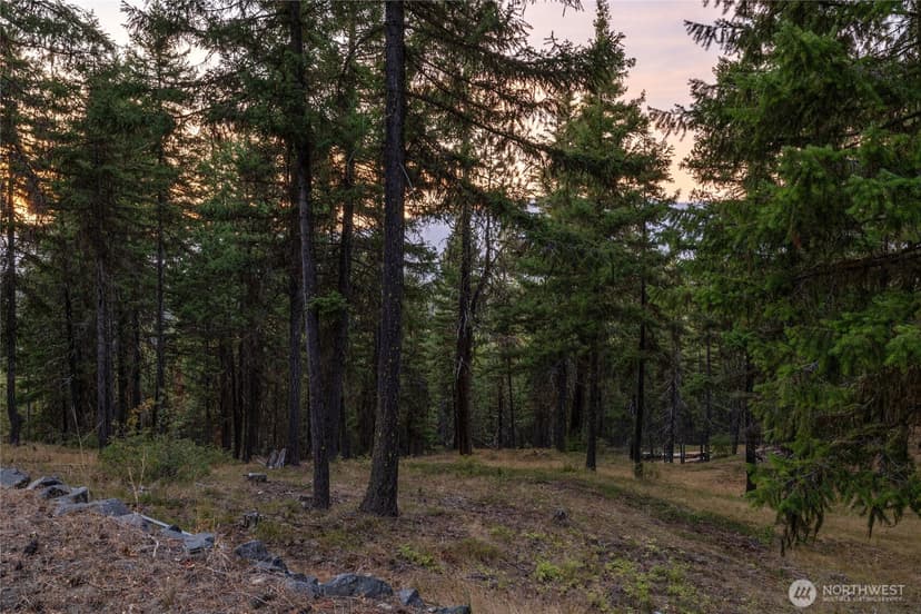 Property photo for 0 XXX Forest Service Road 114 Road, Cle Elum photo 24