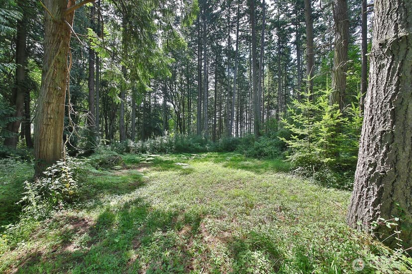 Property photo for 0 XXX Hellman Road, Clinton photo 27