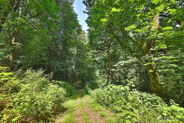 Property photo for 0 XXX Hellman Road, Clinton photo 4