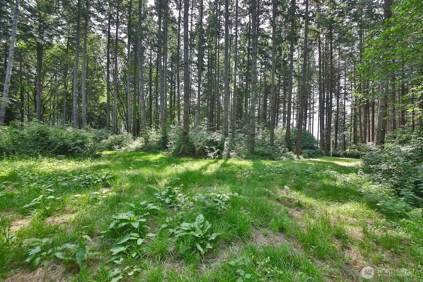 Property photo for 0 XXX Hellman Road, Clinton photo 20
