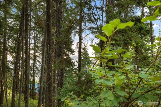 Property photo for 76 Lot Horse Heaven Road, Cle Elum photo 4