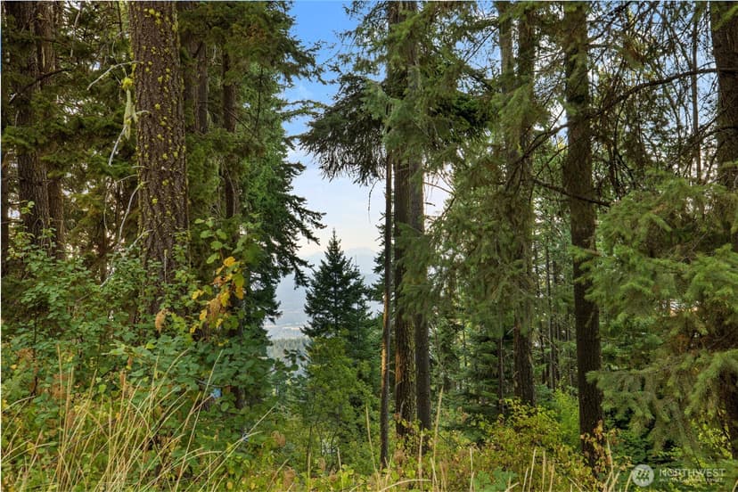 Property photo for 76 Lot Horse Heaven Road, Cle Elum photo 2