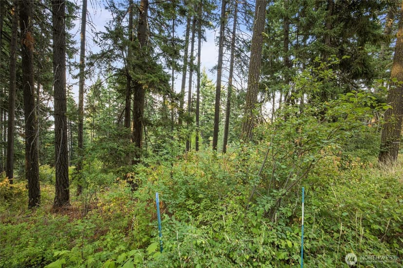 Property photo for 76 Lot Horse Heaven Road, Cle Elum photo 3