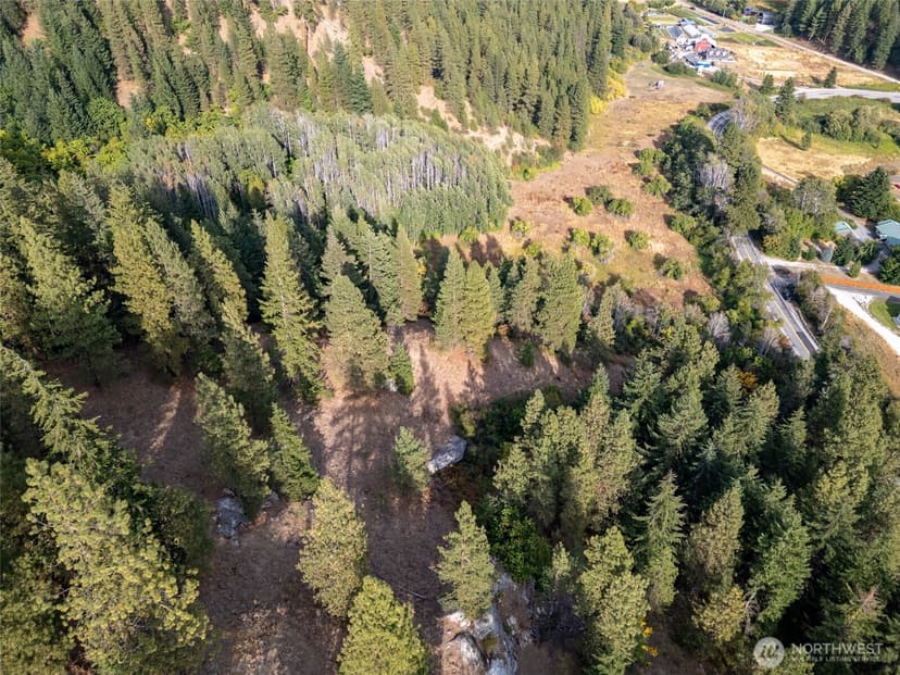 Property photo for 0 NNA Chumstick Hwy, Leavenworth photo 24