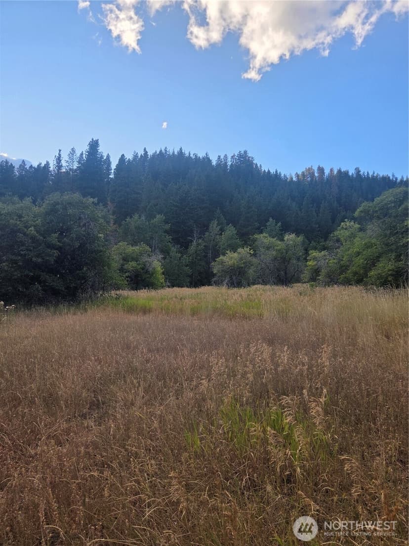 Property photo for 0 Chumstick Hwy, Leavenworth photo 31