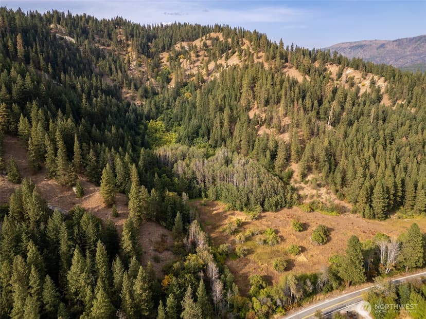 Property photo for 0 Chumstick Hwy, Leavenworth photo 4