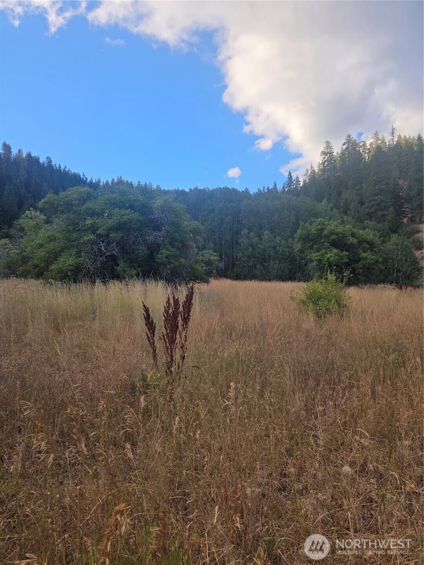 Property photo for 0 Chumstick Hwy, Leavenworth photo 32