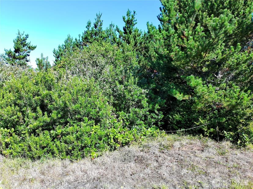 Property photo for 362 King Cyrus Loop SW, Ocean Shores photo 2