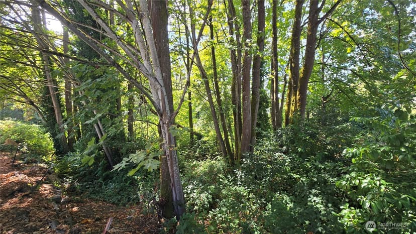 Property photo for 11 XX NE Sunset Boulevard, Renton photo 22